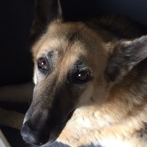 Meet your Posher, Joann